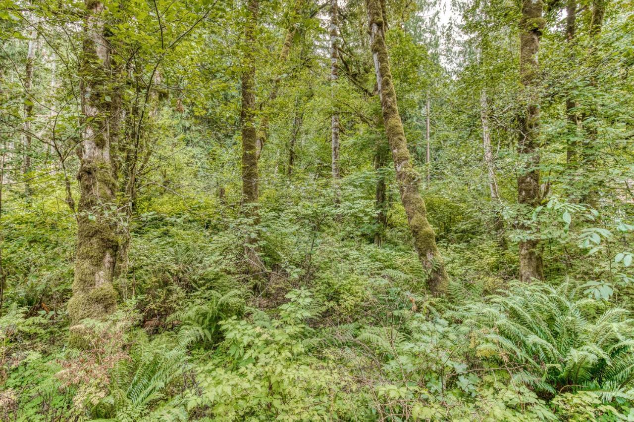 Creekside Cabin Rhododendron المظهر الخارجي الصورة